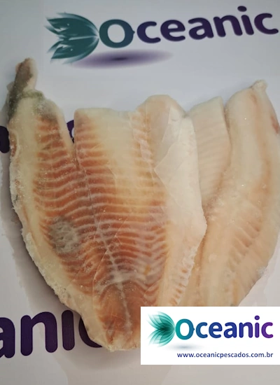 oceanic-pescados-frutos-do-mar-3