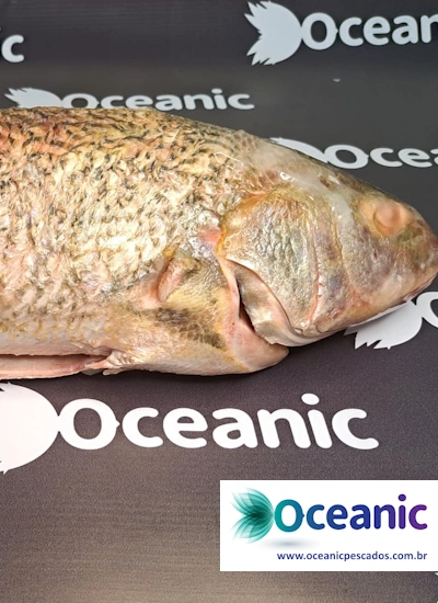 oceanic-pescados-frutos-do-mar-4