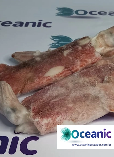 oceanic-pescados-frutos-do-mar-7